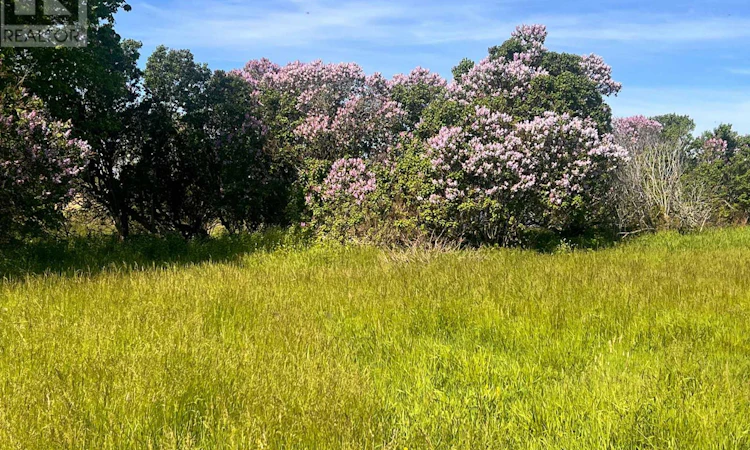 LOT-17 Shore Road SOUTH