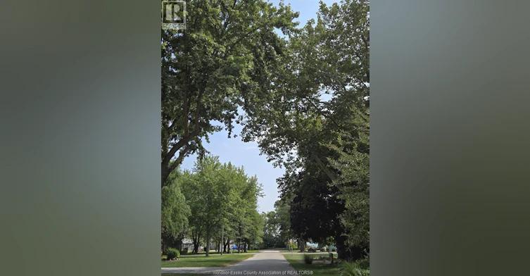 121 Allison Avenue, Essex, ON, N0R 1G0 - 5