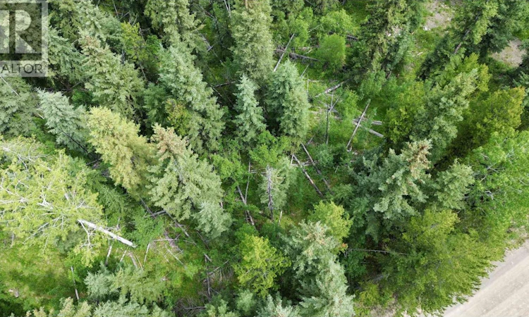 LOT-239 King Road