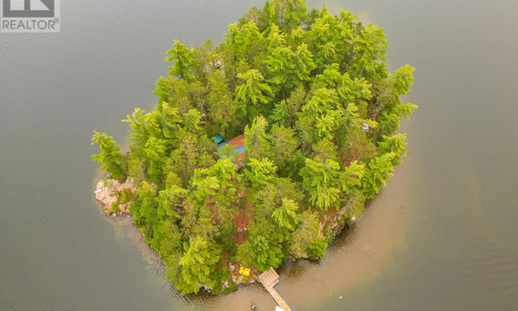 PCL-33 Dave Island