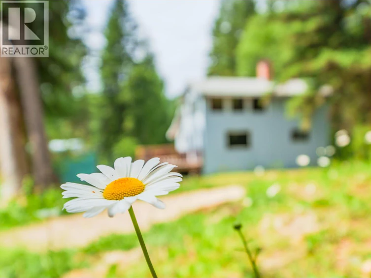 3669 Bradley Creek Road, Forest Grove, BC, V0K 1M0 - 15
