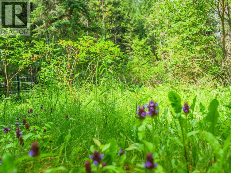 3669 Bradley Creek Road, Forest Grove, BC, V0K 1M0 - 16