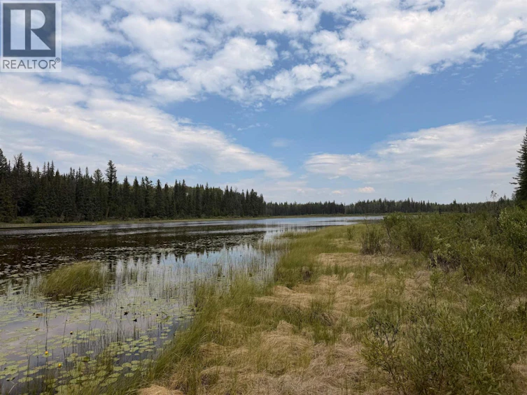 DL-3803 Hinchie Road, 100 Mile House, BC, V0K 2K0 - 14