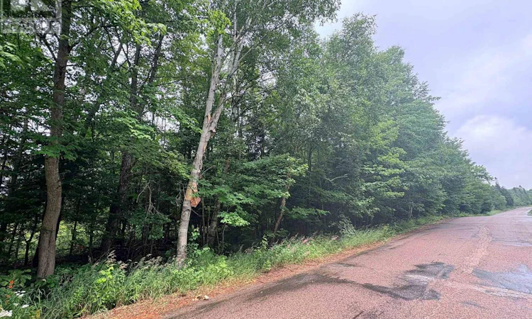 LOT-1 Widdifield Station Road