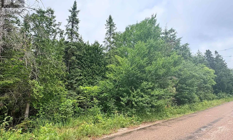 LOT-3 Widdifield Station Road