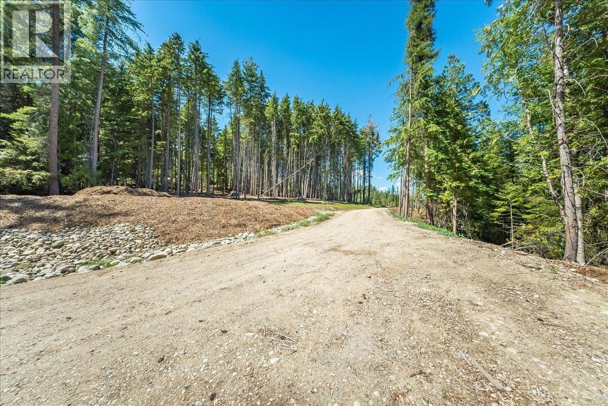 1110 23rd Street, Castlegar, BC, V1N 3A6 - 19