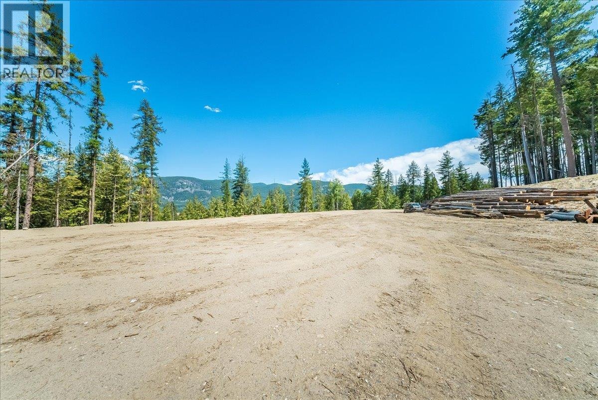 1110 23rd Street, Castlegar, BC, V1N 3A6 - 16