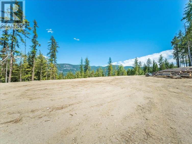 1110 23rd Street, Castlegar, BC, V1N 3A6 - 16