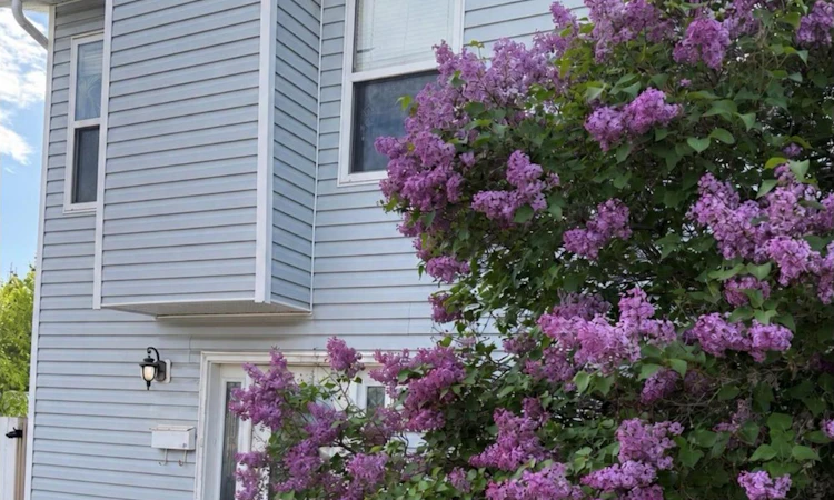 201 Hollyburn Drive