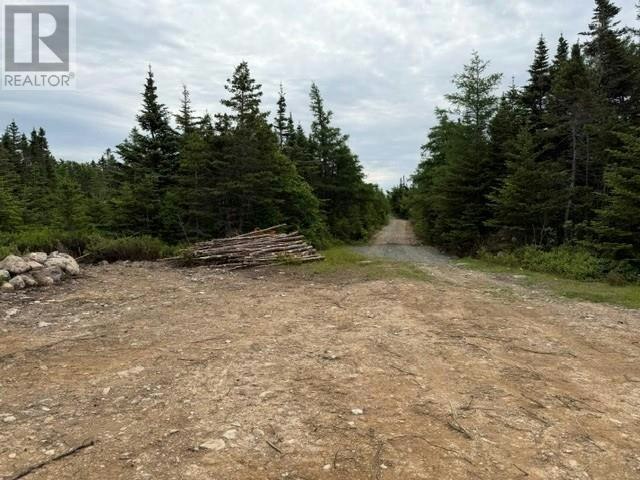 49 Batts Hill Road, Heart's Delight-Islington, NL, A0B 2A0