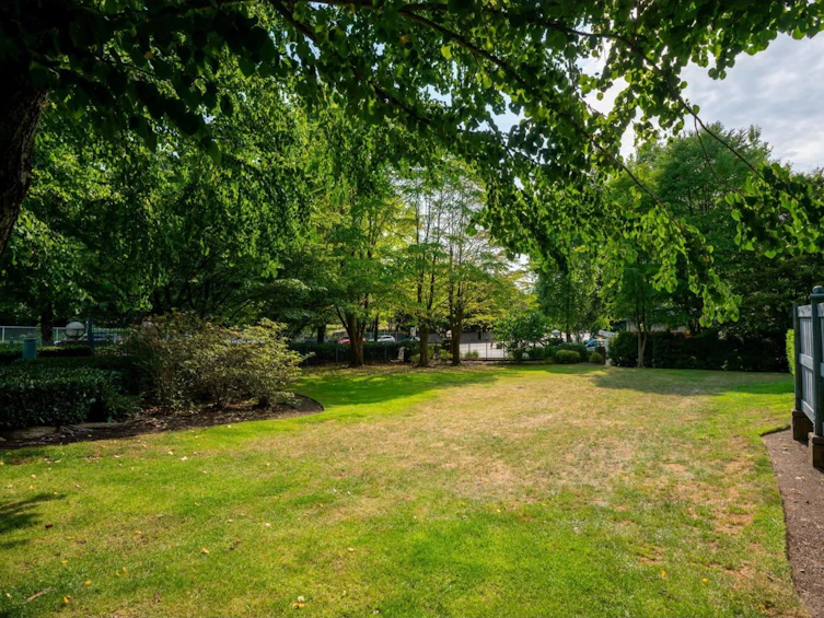 203-13353 108 Avenue, Surrey, BC, V3T 5T5 - 34