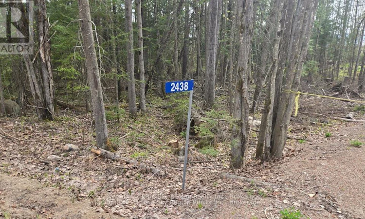 2438 Village Road