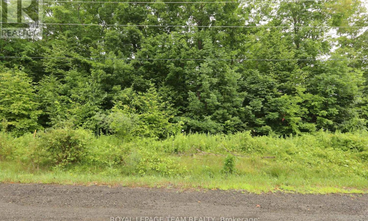 PTLT1-8R3041 Ronson Road