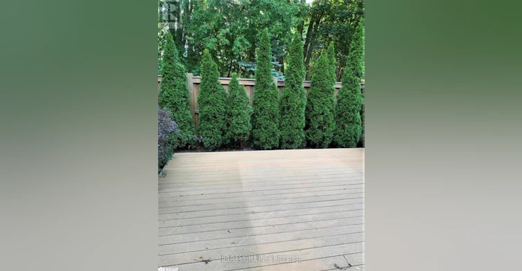 326 Doak Lane, Newmarket, ON, L3Y 0A7 - 17