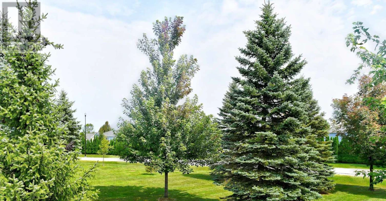 13-46 Barker Boulevard, Collingwood, ON, L9Y 4W4 - 30