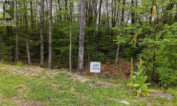 LOT-11 Millie's Way