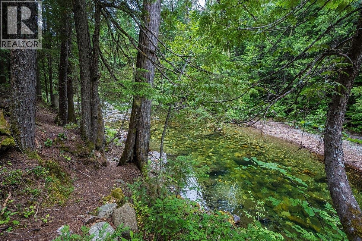 550 2nd Relief Road, Salmo, BC, V0G 1Z0 - 7