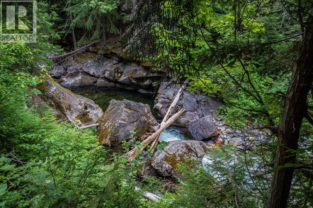 550 2nd Relief Road, Salmo, BC, V0G 1Z0 - 8