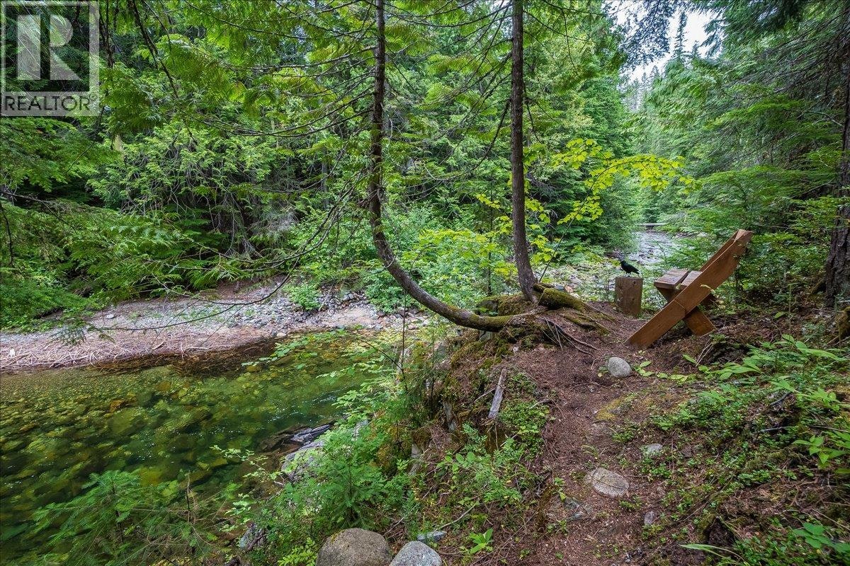 550 2nd Relief Road, Salmo, BC, V0G 1Z0 - 46