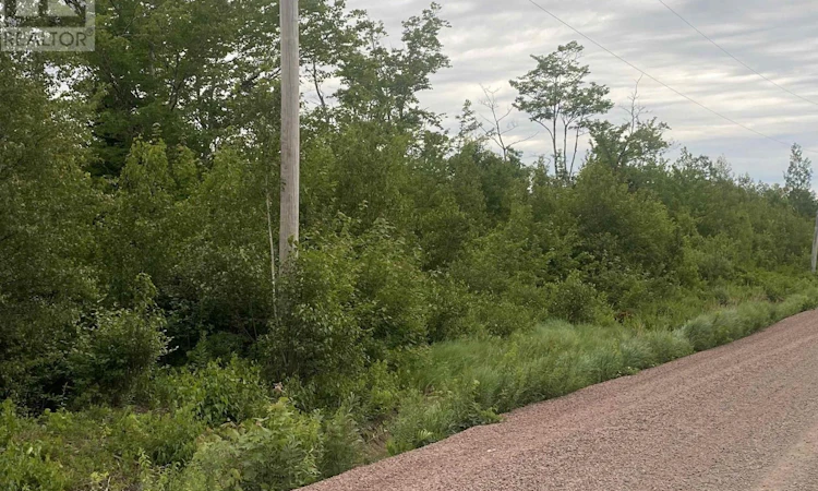 Lot-8 College Grant Road