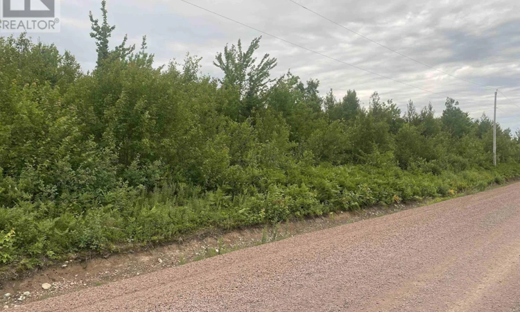 Lot-8 College Grant Road