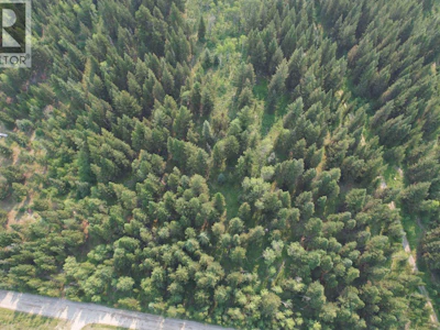 LOT-C Lower Houseman Road - 4