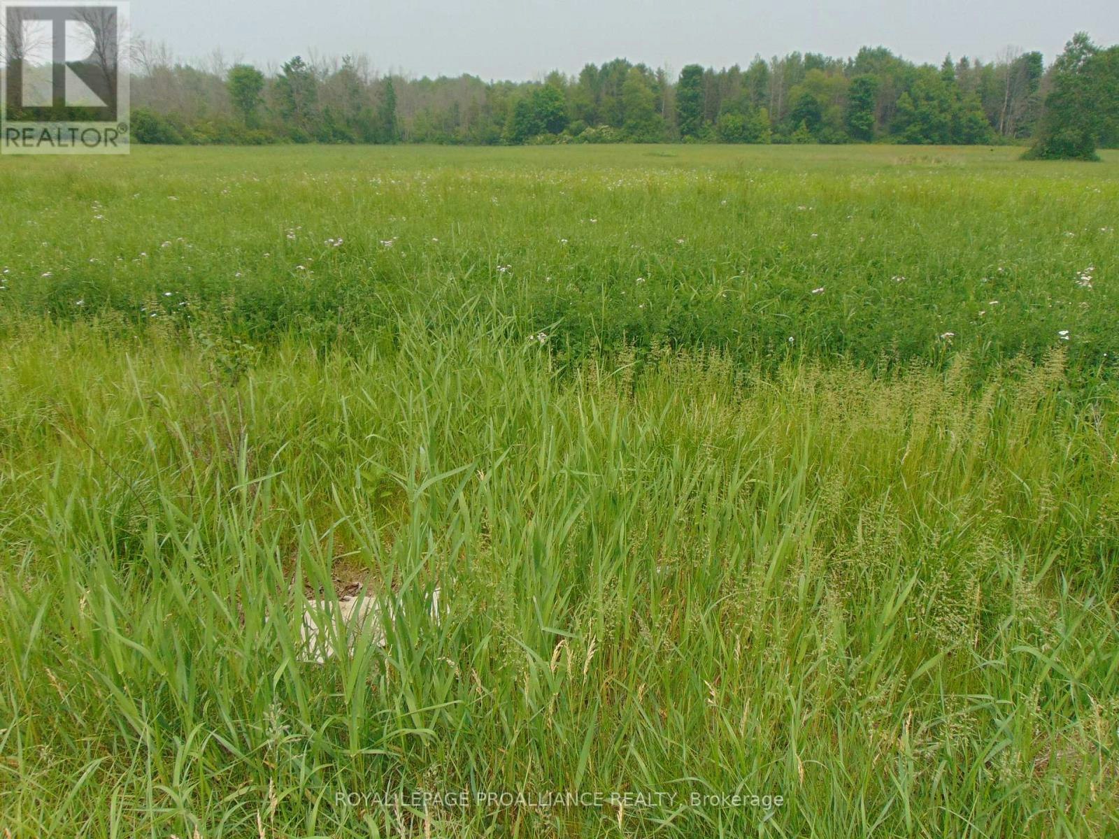 00 Charleville Road N, Augusta, ON, K0E 1T0