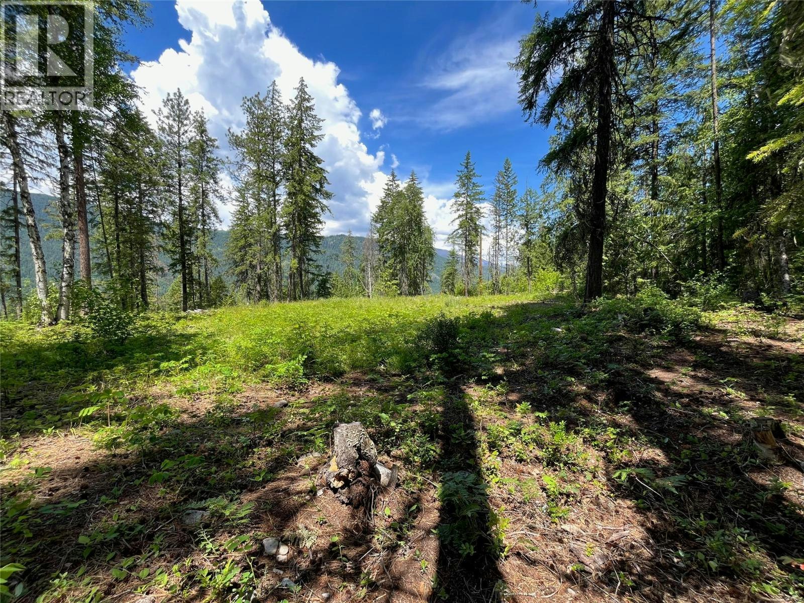 7498 6 Highway, Winlaw, BC, V0G 2J0