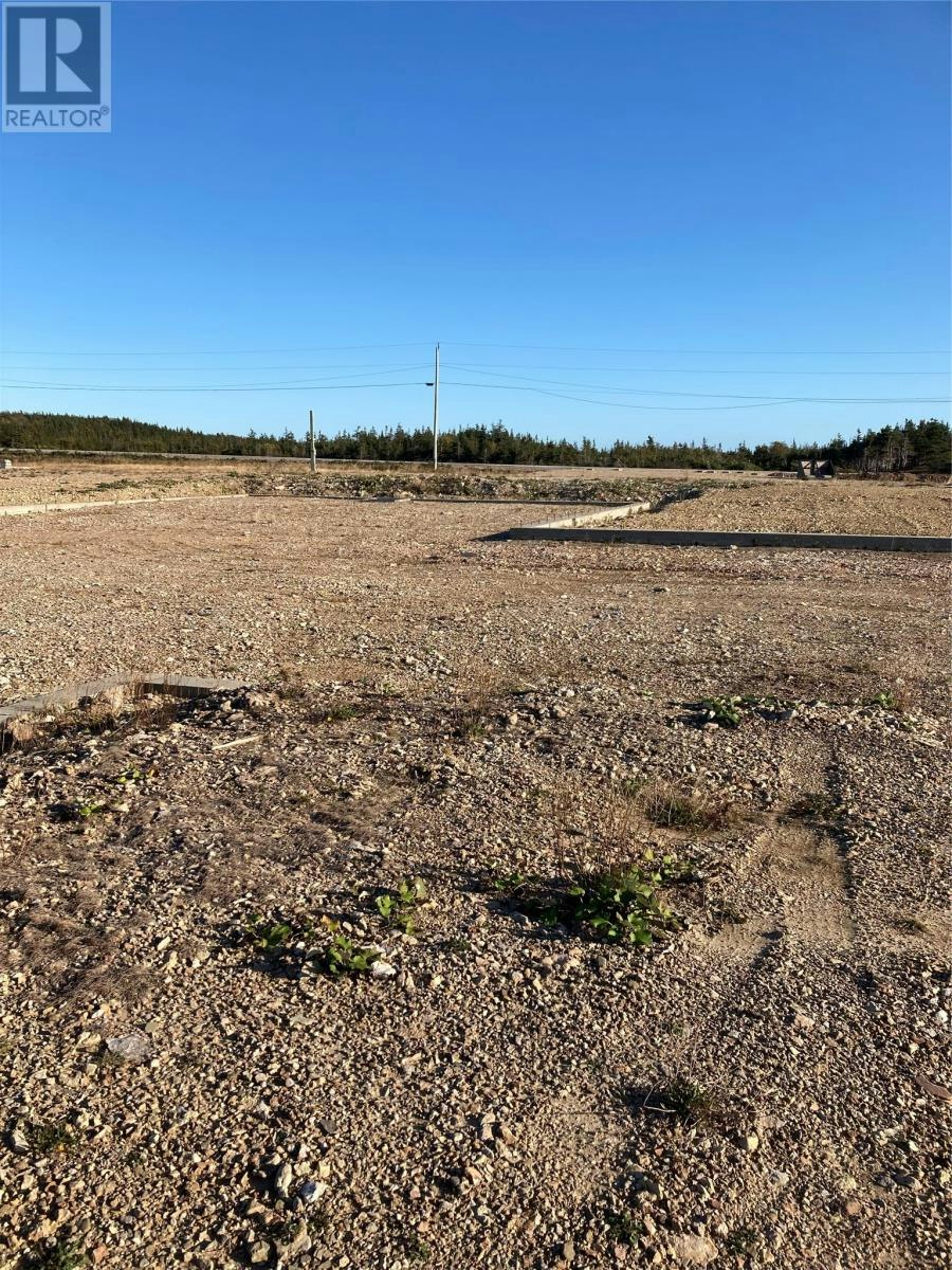 1690 Oceanview Drive, Cape St. George, NL, A0N 1E0