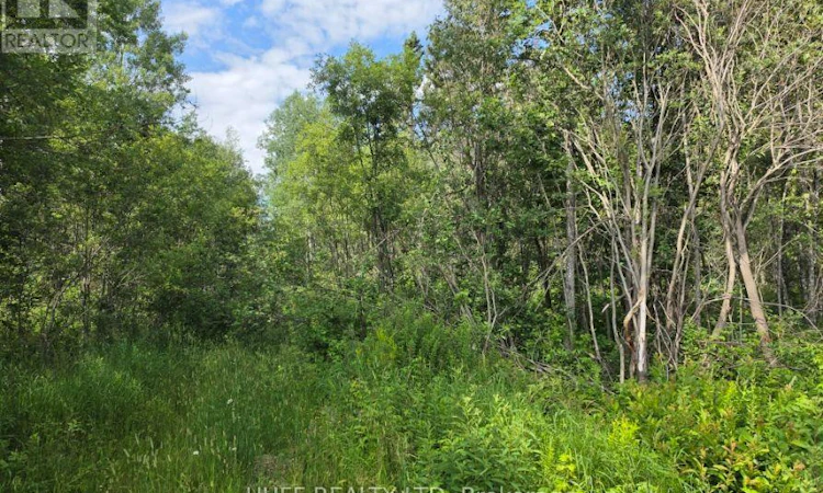 PCL-11012 Hough Lake Road