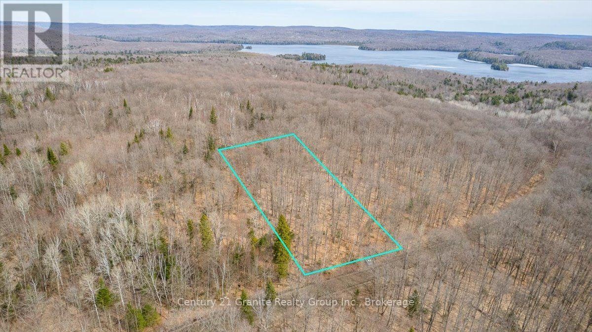 99 Forest View Road, Hastings Highlands, ON, K0L 1C0