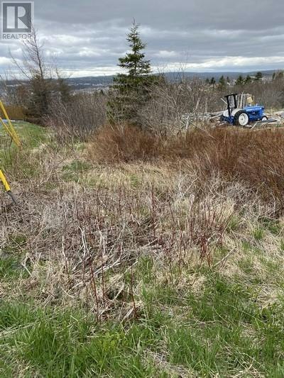 129A English Hill Road, Carbonear, NL, A1Y 1A8