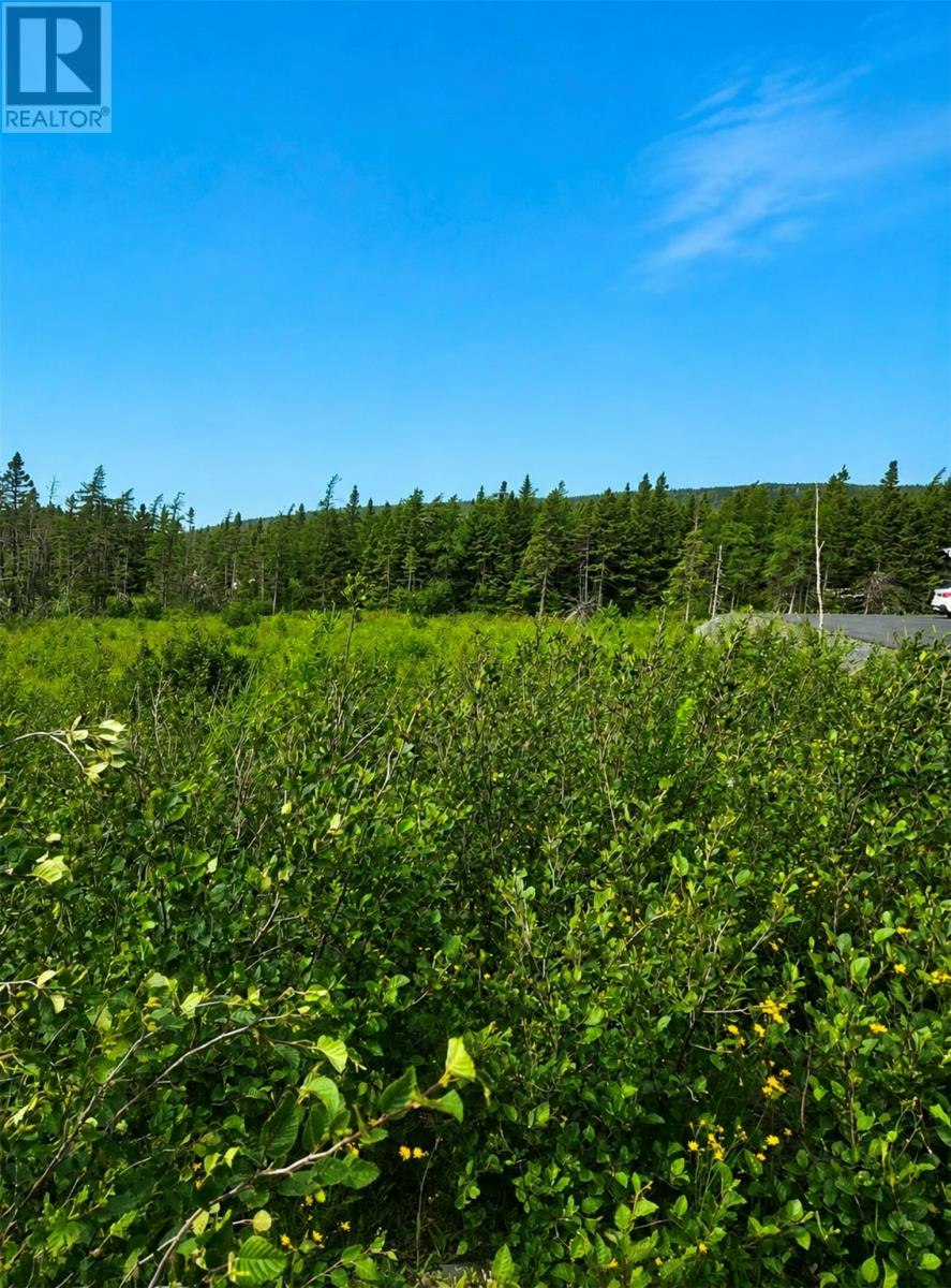 168 Hodgewater Line, South River, NL, A0A 3W0