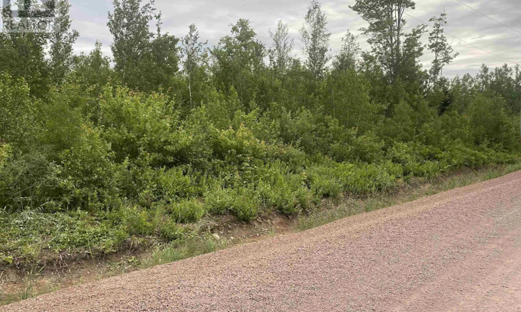 Lot-7 College Grant Road