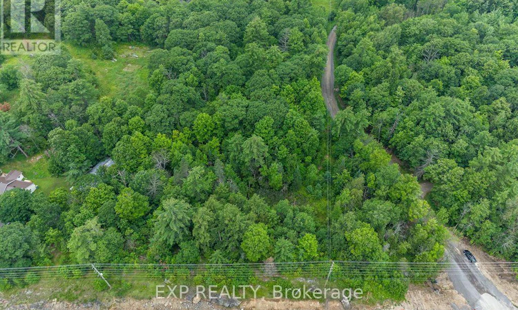 00 Riopelle Road