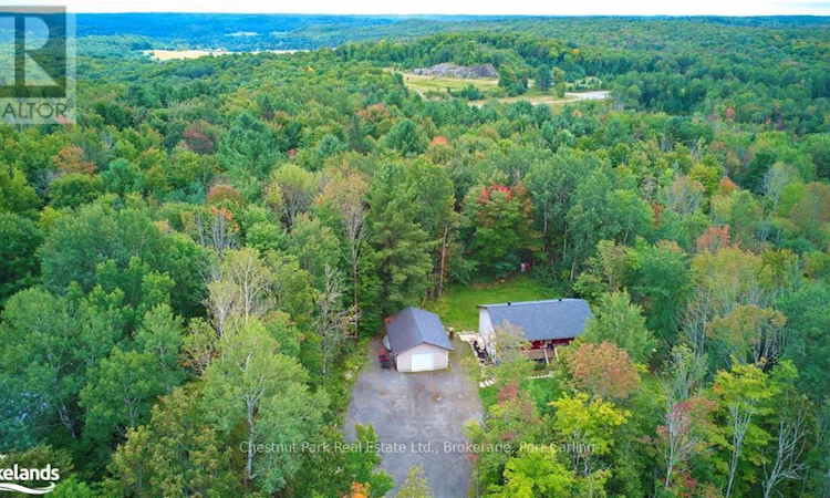 295 Town Line Road W