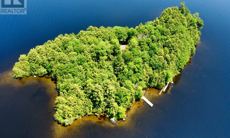 1 Cedar Island