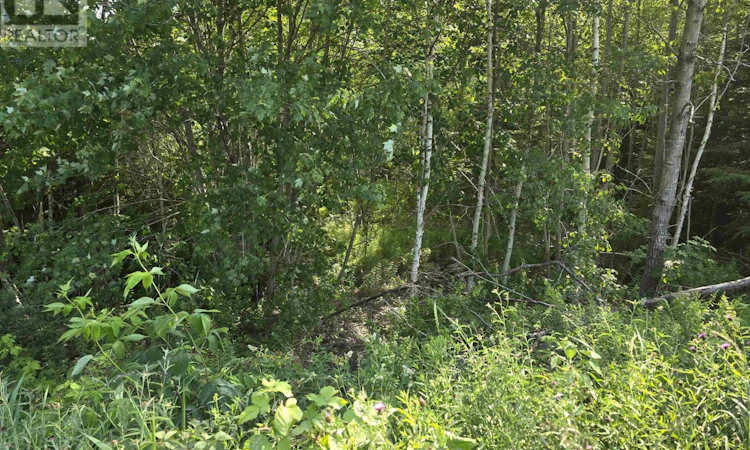 Lot-2 101 Highway