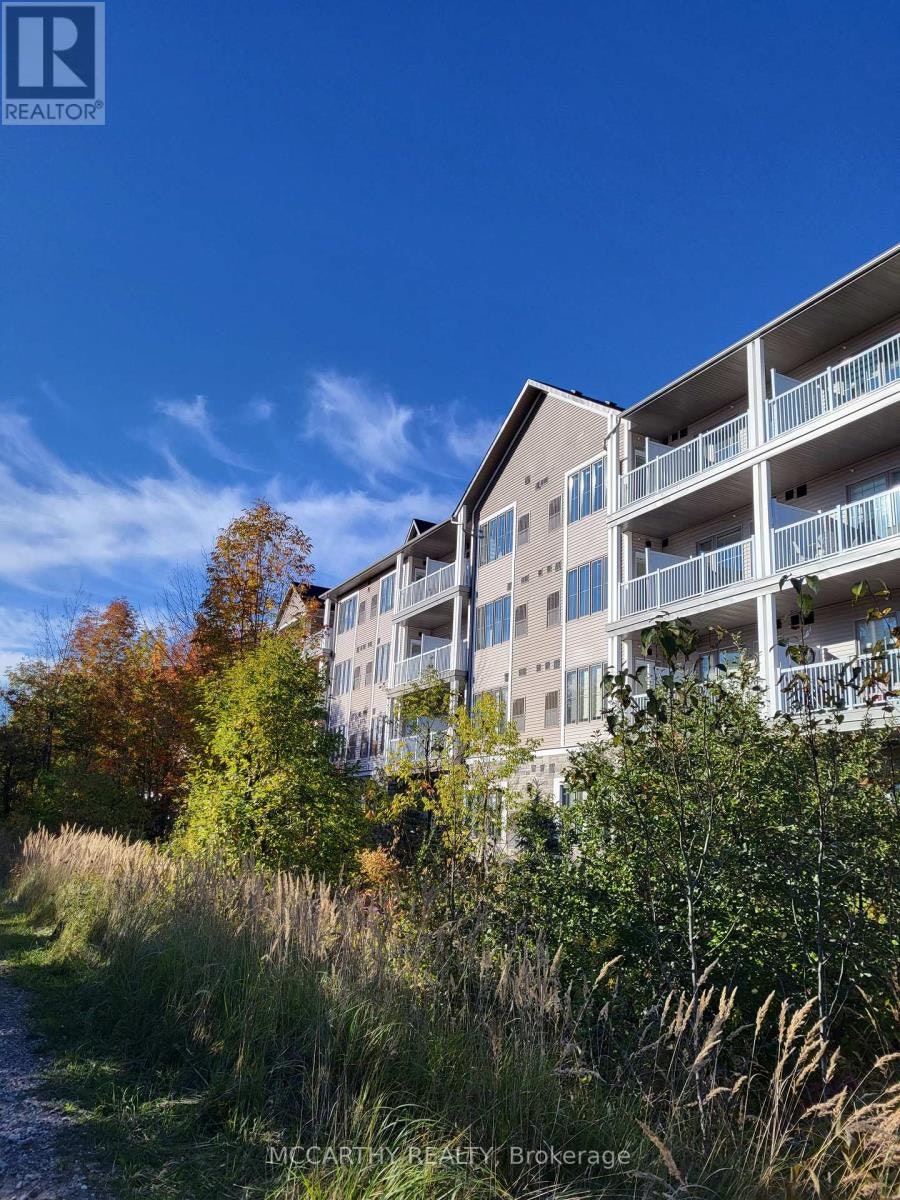 220-270 Hagan Street, Southgate Township, ON, N0C 1B0 - 24
