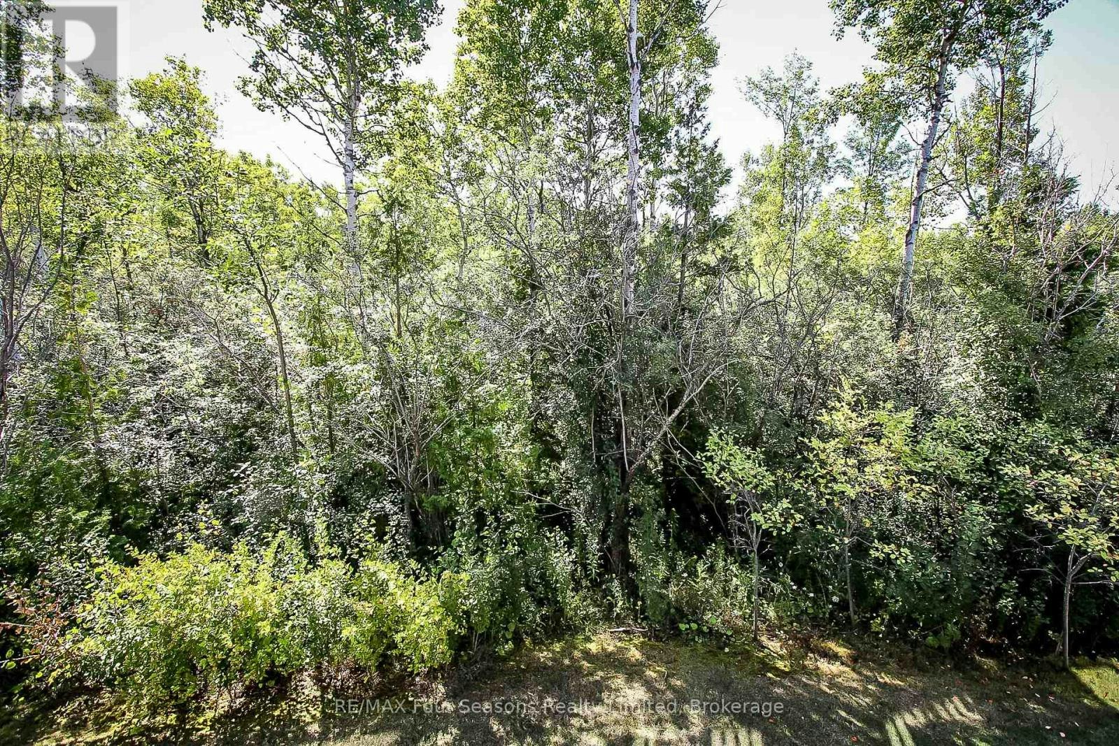 12 Robbie Way, Collingwood, ON, L9Y 0X5 - 5