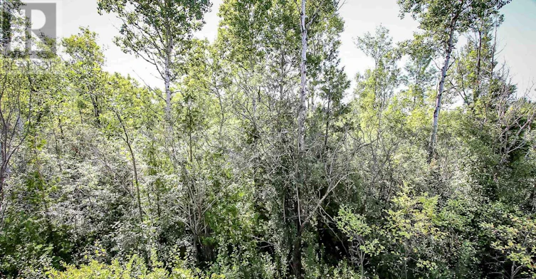12 Robbie Way, Collingwood, ON, L9Y 0X5 - 5