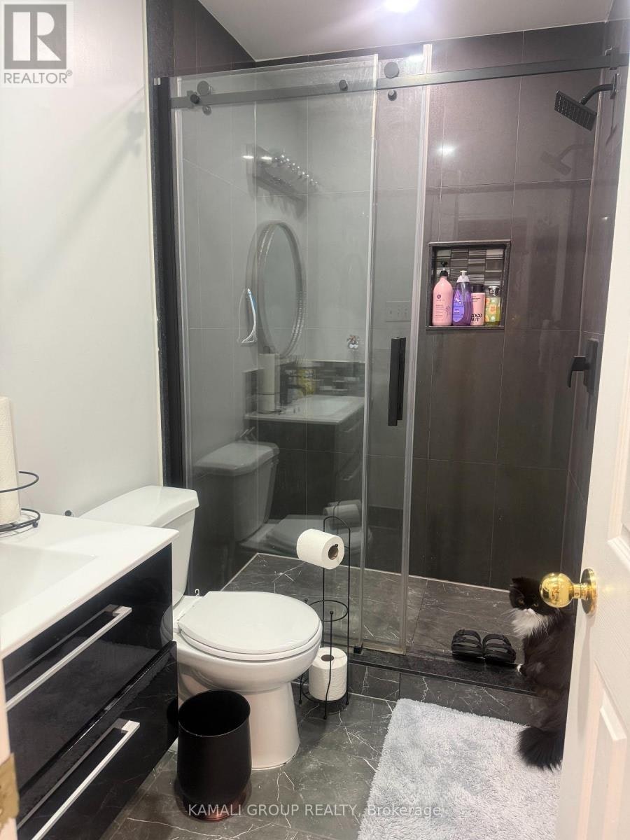 BASEMENT-116 Newton Drive, Toronto, ON, M2M 2N1 - 5