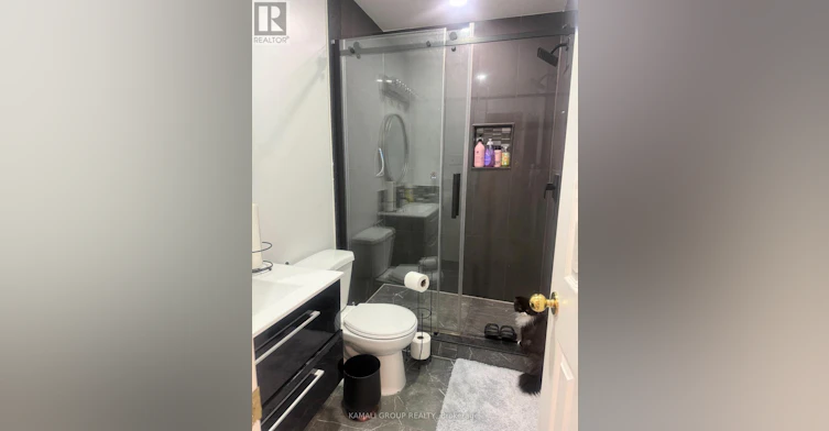 BASEMENT-116 Newton Drive, Toronto, ON, M2M 2N1 - 5