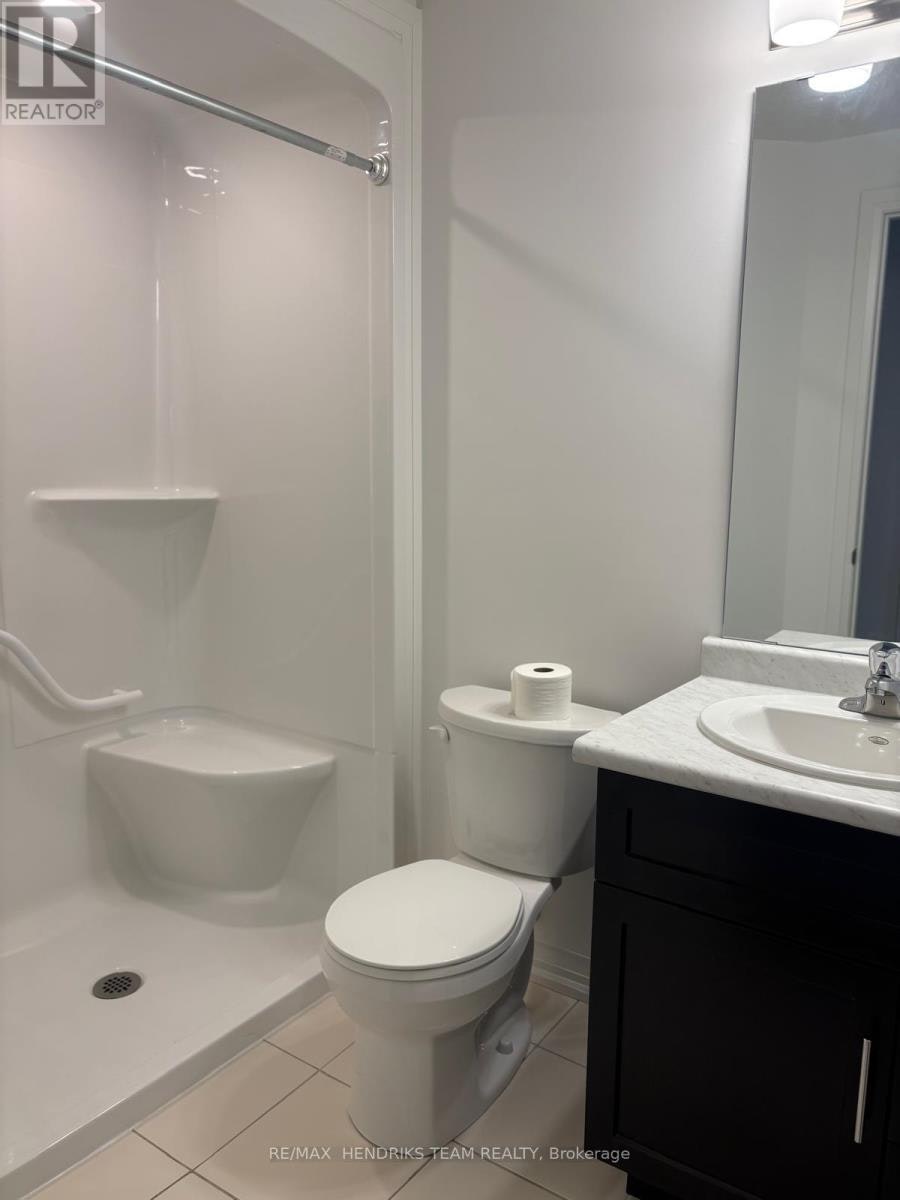 BASEMENT ONLY-146 Bur Oak Drive, Thorold, ON, L2V 0L7 - 5