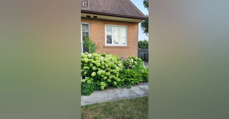 67 Cartwright Avenue, Toronto, ON, M6A 1V1 - 19