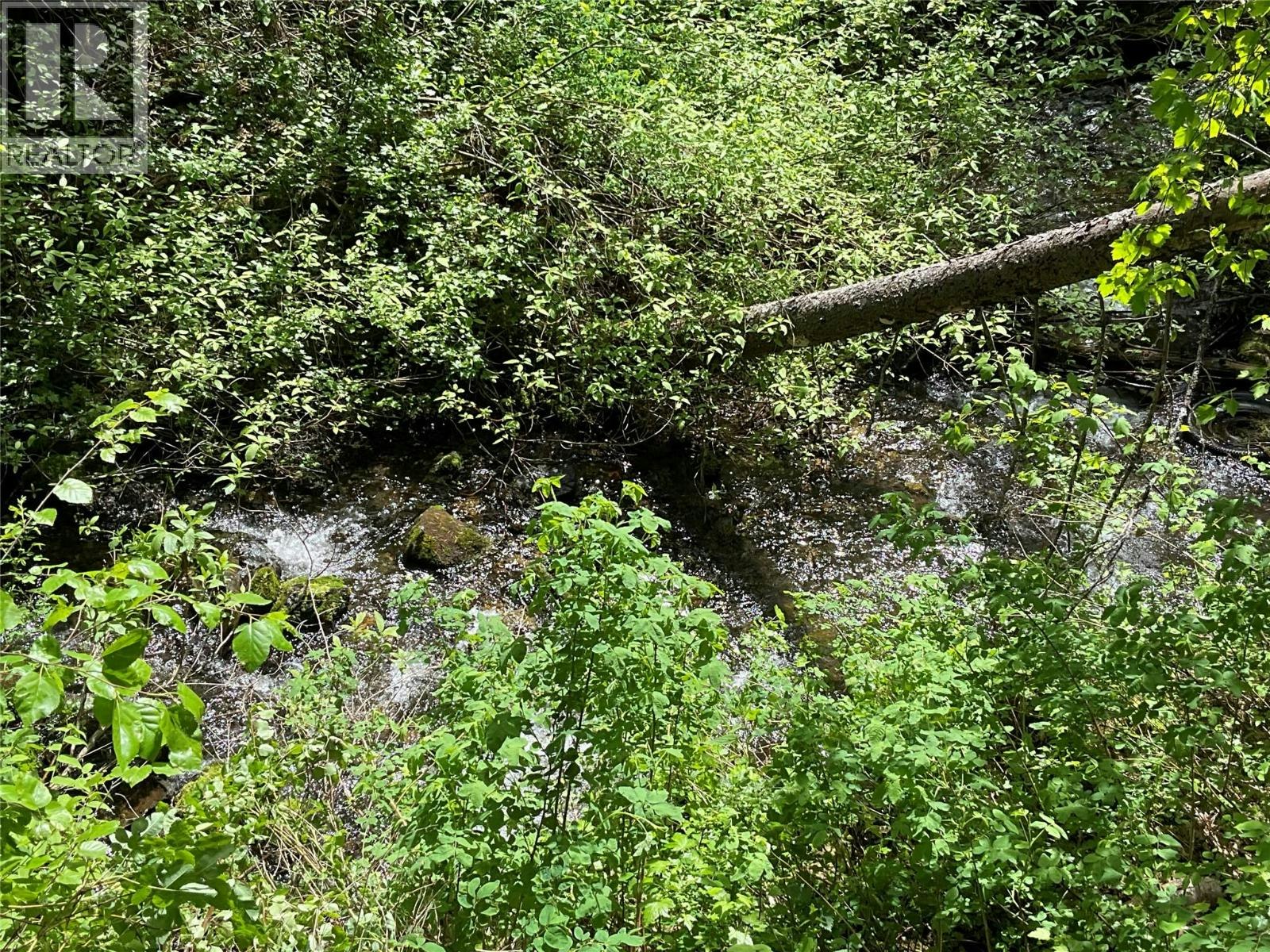 Lot-1 Nicholson Creek Road - 4