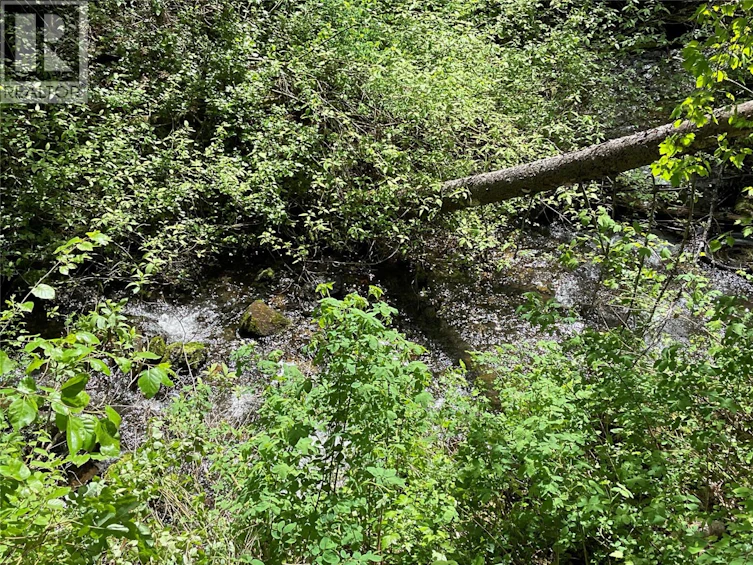 Lot-1 Nicholson Creek Road, Rock Creek, BC, V0H 1Y0 - 4