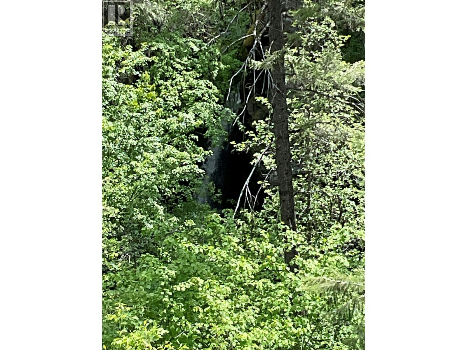 Lot-1 Nicholson Creek Road, Rock Creek, BC, V0H 1Y0 - 6