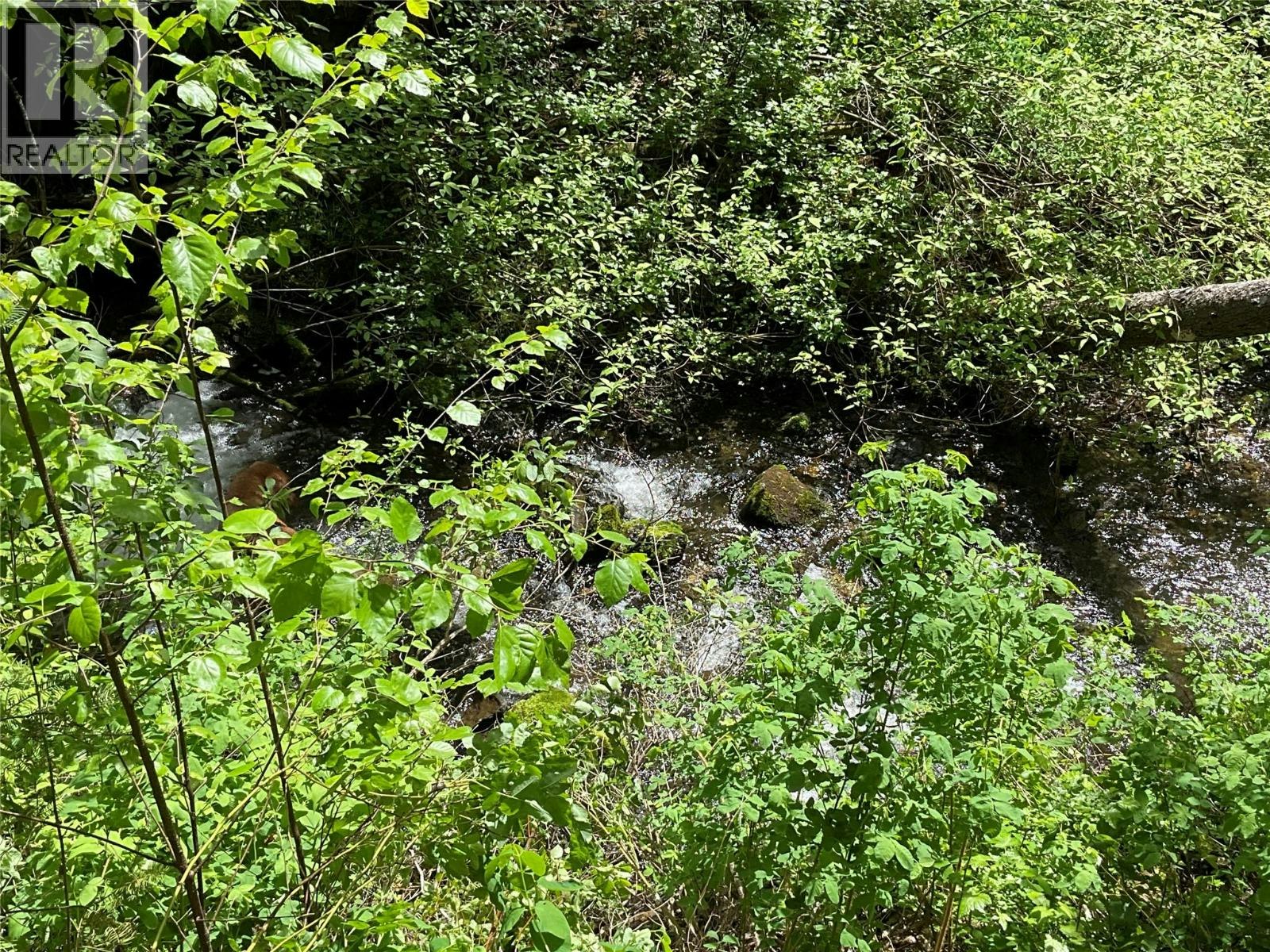 Lot-1 Nicholson Creek Road - 3
