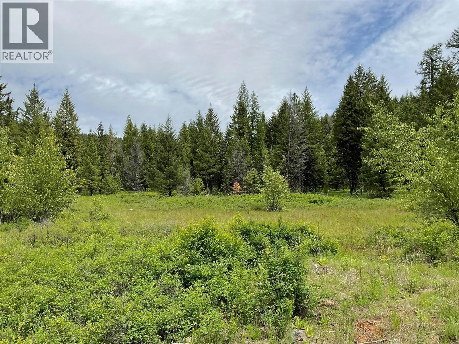 Lot-1 Nicholson Creek Road, Rock Creek, BC, V0H 1Y0 - 16